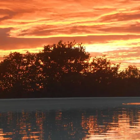 Podere Sant'antonio *