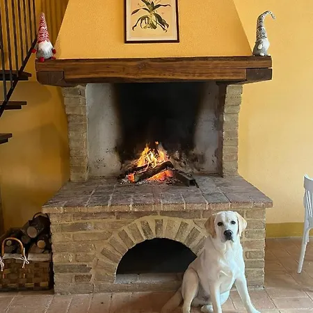 Vakantieboerderij Podere Sant'antonio