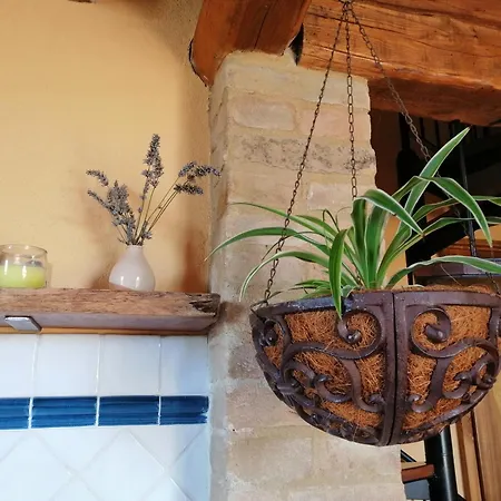 Podere Sant'antonio Vakantieboerderij Buonconvento